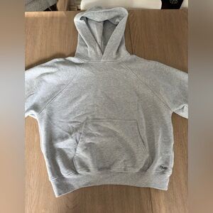 Aritzia Gray Hoodie